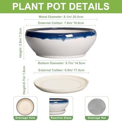 SQOWL Bonsai Pots Ceramic - 8 Inch Succulent Planters Indoor, Succulent Pot with Drainage Hole and Tray, Shallow Ceramic Plant Pot, Round Bowl Planter, Porch Decor, Gardening Gift, Blue Off-White - color: Blue Off-white, size: 8 Inch