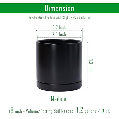 D'vine Dev 8.2 Inch Ceramic Planter Pot, Black, 94-O-D-2 - color: Black, size: Medium