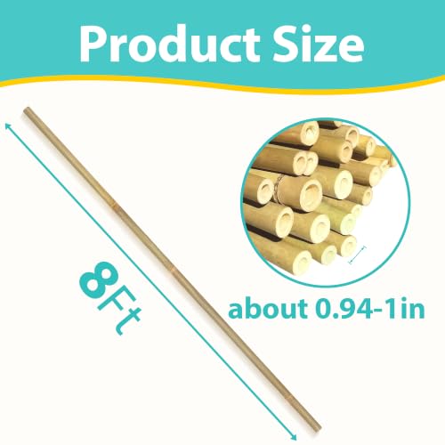 Bamboo Stakes 8FT, 10pcs Garden Stakes 94inch Specifically Designed for Climbing Plants, Ideal for Tomatoes, Beans, Cucumbers, Peppers, Vines, and More Plant Growth - size: 8FT, 10pcs