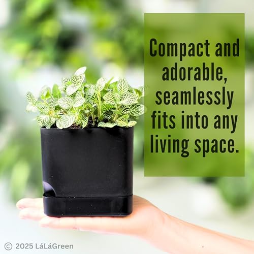 LaLaGreen Planters for Indoor Plants (7 Pack) Rectangular Flower Boxes - color: Black
