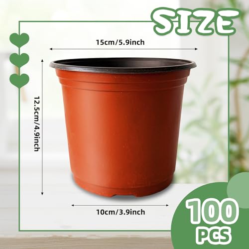 Baaxxango 100 Pcs Plant Nursery Pots,6 Inch Thicker Plastic Seedling Pots with Holes,Seed Starting Pot Flower Plant Container for Succulents,Seedlings,Cuttings,Transplanting - size: 100 Pcs 6 Inch