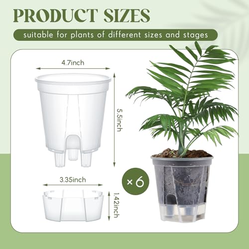 Wonderjune Self Watering Planter, 4.72'', Clear, 6 Pcs - color: Clear, size: 4.72''