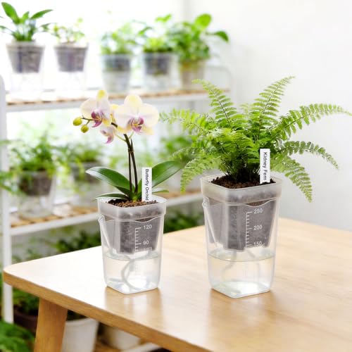 2.5" Clear Self Watering Pots for Indoor Plants,16PCS Mini Plastic Nursery Planters with Water Level Indicator & Drainage Holes for Propagation,Succulents,Seedling,African Violet,Plant Labels - size: 2.5 Inch