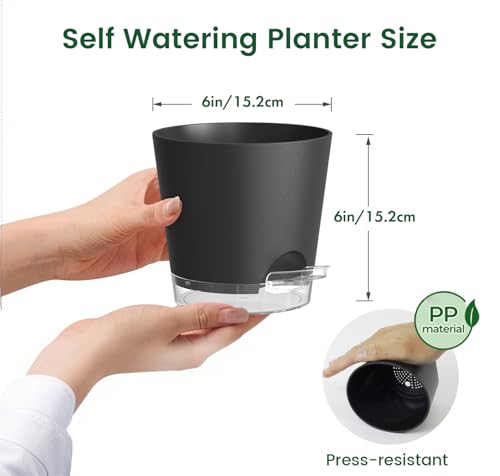 Meowell 6 inch Self Watering Pots for Indoor Outdoor Plants, 3 Pack Flower Plant Pots with Drainage Holes and Clear Reservoirs, Visible Water Level, Plastic Planters with Wicking Rope, Black - color: Black, size: 6in 3pcs
