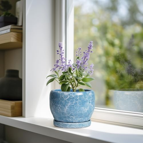 SQOWL 6 Inch Plant Pot - Ceramic Indoor Planter with Drainage Hole and Saucer, Decorative Ceramic Flower Pot Outdoor, Round Succulent Planter, Home Office Room Decor, Gifts for Plant Lovers, Blue - color: Blue Sapphire, size: 6 Inch