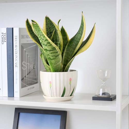 STHIE 4/5/6 Inches White Ceramic Plant Pots with Drainage Holes and Saucer - color: White Floral-big Size