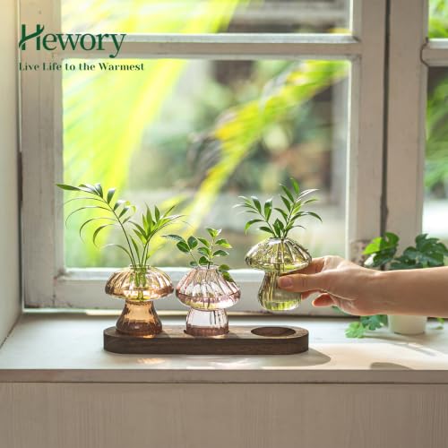 Hewory Plant Propagation Stations: 3PCS Amber Mushroom Vase with Wood Tray - color: Amber, size: 3