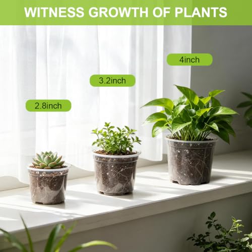 RooTrimmer 100 Pack 2.8 Inches Clear Plant Pots with Drainage Holes, Transparent Seeding Nursey pots, Round Plastic pots for Seeds Starter, Seeds Germination - size: 2.8 Inch 100P