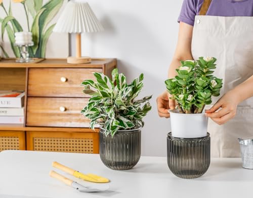 Melphoe Self Watering Pots for Indoor Plants Planter, 5.3 Inch 2 Pack Planters Self Watering Plant Pots for Flower, Houseplants, Succulent, African Violets and Cactus with Drainage - color: Light Grey, size: 5.3''
