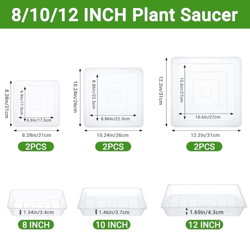 Greaner Clear Plant Saucer, 8/10/12 Inch Humidity Tray for Orchids, Plant Water Catcher Tray for Indoor Outdoor Use(6 Packs) - color: Clear, size: 8"/10"/12"
