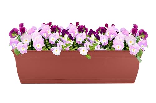 The HC Companies Eclipse Window Planter Box, 30 Inch, Clay, 2-Pack - color: Clay, size: 30" (Pack of 2)