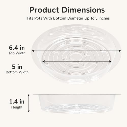 Gardzen Heavy Duty Clear Plastic Plant Saucers, Flower Pot Tray - Excellent for Indoor & Outdoor Plants (6-Inch, 10-Pack) - size: 6 Inch