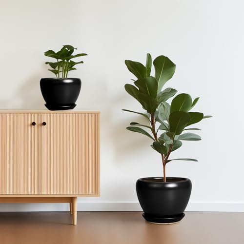 Ceramic Planters Pots - 10 Inch 8 Inch 6 Inch Plant Pots Indoor with Drainage Holes and Saucers Large Planters Mid-Century Flower Pots Outdoor Set of 3 Black - color: Black