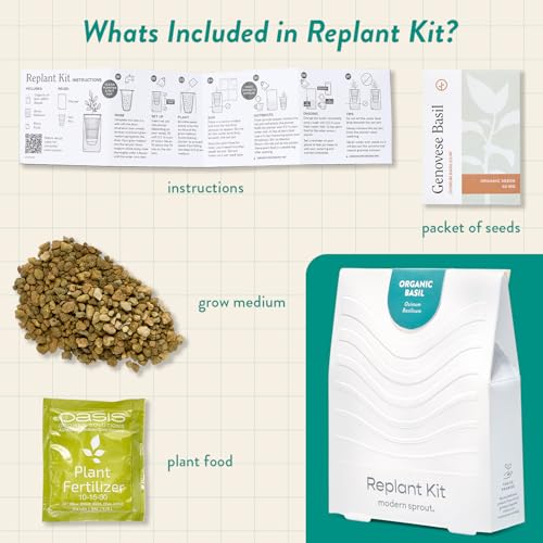 Modern Sprout Mason Jar+Replant Kit- Self-Watering Hydroponics System-Basil - color: Basil, size: Garden Jar + Replant Kit