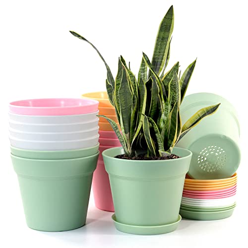 WOUSIWER 16 Pack 6 inch Plastic Planters, Indoor Flower Pots, Heavy Duty and Stylish 6 Inch Plant Pots for Indoor Plants with Drainage Holes and Tray for Plants, Flowers, Colorful - color: Colorful