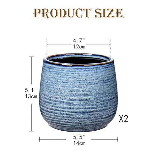 GnFlus Blue Ceramic Plant Pots 5.5 Inch Set of 2, Flower Plants Pot with Drainage Holes Blue Planter Garden Pot for Succulent Cactus Home Decoration Gift Indoor Outdoor - color: Blue#2