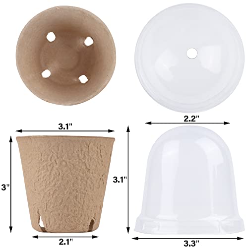 winemana 36 Set Plant Nursery Pots with Humidity Dome, Seed Starter Biodegradable Peat Pots, Seedlings Planting Pots with Labels for Indoor Outdoor Garden - size: Round