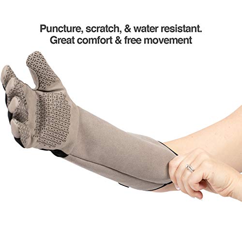 PetFusion Multipurpose Pet Glove for Grooming, Grey - size: Small