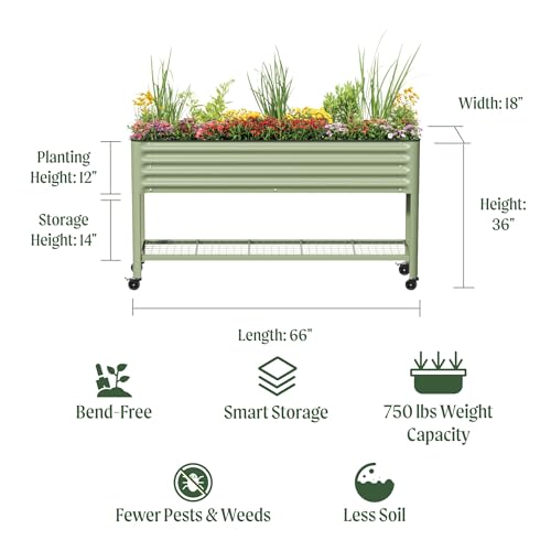Vego garden Rolling Elevated Raised Garden Bed, 1.5' x 5.5' Outdoor Planters Boxes with Legs & Storage Rack for Patio, 750 Lbs Weight Capacity, Raised Beds for Gardening, Olive Green - color: Olive Green, size: 1.5' x 5.5'