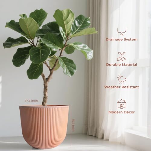 Worth Garden Round Large Planter Pot 1-Pack, 17.5" Dia x 15.5" H - Durable Plastic Terracotta Plant Tree Pots with Vertical Stripe Textured Finish, Drainage Hole for Indoor Outdoor Front Porch Patio - color: Terracotta, size: 1-Pack