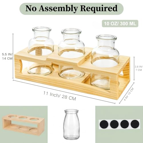 Eorbow Plant Propagation Station, Desktop Plant Terrarium with Wood Stand, Retro Propagation Vases Glass Planters for Indoor, Hydroponic Plant Propagating Jars for Home Office Decor, Plant Lover Gifts