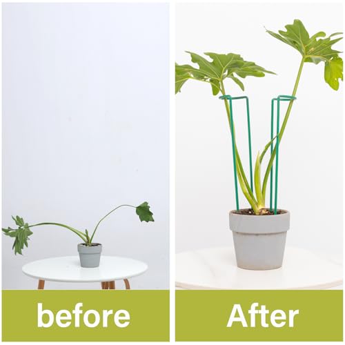 Set of 10 Indoor Plant Support 12“- Durable U-Shape Iron Supports - color: Green, size: 12 Inch H