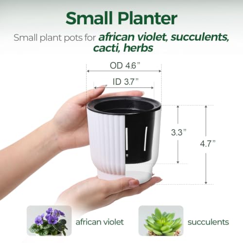 T4U Self Watering Pots for Indoor Plants, 4.5 Inch 6 Pack Planter White - color: White, size: 4.5 Inch