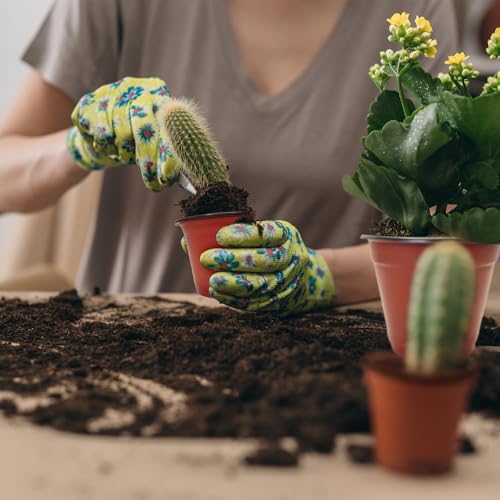 100 Packs 3.5" Plant Nursery Pots Plastic Seedling Starter pot Flower Planter Container Seed Grow Pot with Drainage Hole for Indoor Outdoor Garden Suitable for Succulent Seedling Cutting Transplanting - size: 3.5 Inch