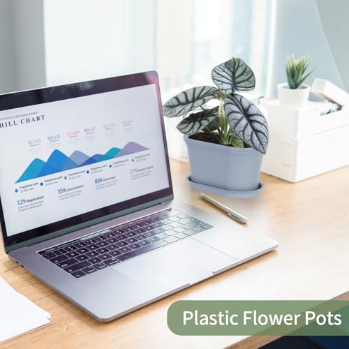 Oliz 6pk Windowsill Planters, Grey Plastic w/Drain Tray - Indoor/Outdoor - color: Gray
