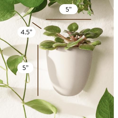 Make Good PlantPod Luxe - Self-Watering Wall Planters (Set of 6, Stone) - Easy to Water and Install - Lightweight - Design Your Own Vertical Garden - Wall Planters for Indoor Plants - color: Stone