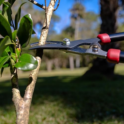 Radius Garden 28" Bypass Lopper with Precision Steel Blades for Pruning