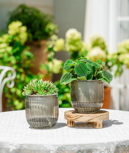 Melphoe Self Watering Pots for Indoor Plants Planter, 4.3 Inch 2 Pack Planters Self Watering Plant Pots for Flower, Houseplants, Succulent, African Violets and Cactus with Drainage - color: Light Grey, size: 4.3''