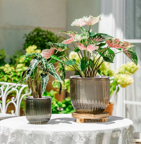 Melphoe Self Watering Pots for Indoor Plants Planter, 8.3/5.3 Inch 2 Pack Planters Self Watering Plant Pots for Flower, Houseplants, Succulent, African Violets and Cactus with Drainage - color: Light Grey, size: 8.3''+5.3''