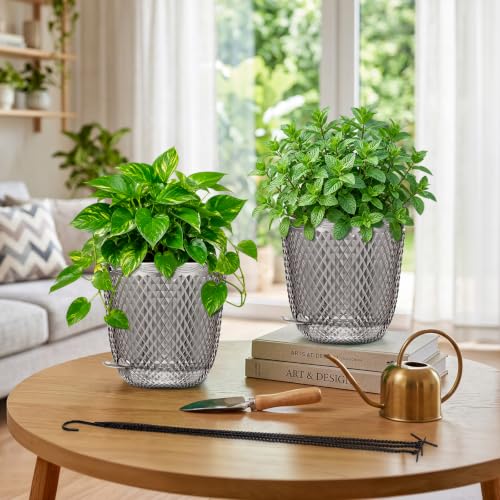 QCQHDU 7.2 Inch Hanging Flower Pots for Indoor Outdoor Plants,Self Watering Planter Hanging Basket,Plastic Plant Hanger with Drainage Holes and 3 Hooks for Window Porch Garden Balcony, (Grey) 2 Pack - color: Gray, size: 7.2"+7.2"