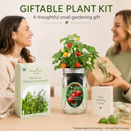 Hydroponic Tomato Growing Kit, Self-Watering Mason Jar Tomato Garden Starter Kit Indoor, Grow Tomatoes from Organic Seeds (Sweetie Cherry Tomato) - color: Sweetie Cherry Tomato
