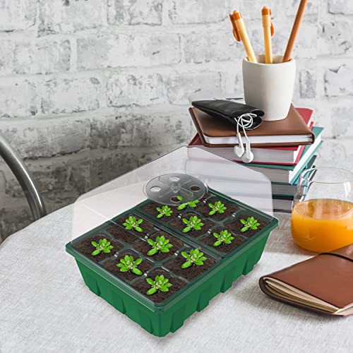 Gardzen 10 Pack Seed Starter Trays with Dome and Green Base 120 Cell - size: 12-Cell Clear 10-Pack