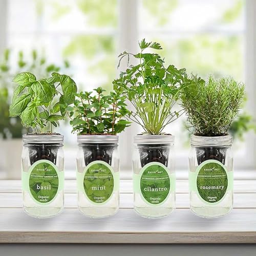 Hydroponic Herb Growing Kit Set, Self-Watering Mason Jar Herb Garden Starter Kit Indoor, Grow 4 Kinds of Herbs from Seeds (Basil, Mint, Cilantro & Rosemary)
