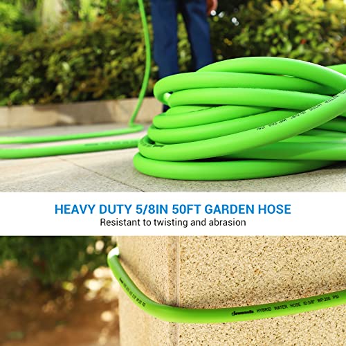 DEWENWILS Garden Hose 50 ft x 5/8", Water Hose with Swivel Handle, Heavy Duty, Lightweight, Flexible Hose for Plants, Car, Yard, 3/4 Inch Solid Fittings, Drinking Water Safe HHGH50A1 - color: Green, size: 50 ft
