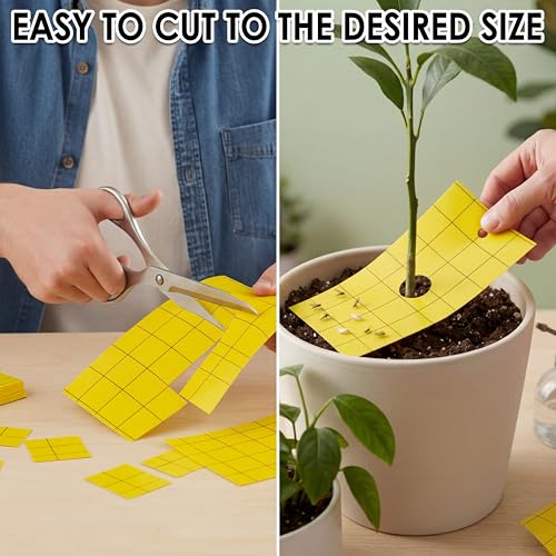 Qualirey 600 Pcs Sticky Trap for Gnats 3 x 5'' Dual Side Sticky Fruit Fly Trap with Tie Plant for Flying Insect Fungus Bugs Flying Catcher for Indoor (Yellow)