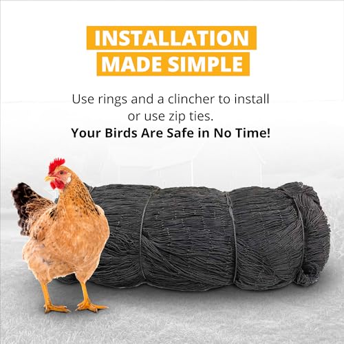 Stromberg's 2" Mesh Heavy Duty Knotted Aviary Netting, 100' x 100' - style: 2" Netting - 100' x 100'