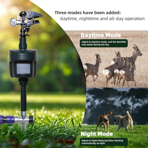 Motion Sensor Sprinkler with Adjustable Head, Day and Night Mode - color: Green-1