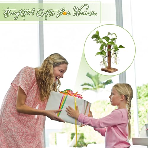 Plants Propagation Stations Bulb Glass Propagation Birthday Gift for Women - color: Transparent