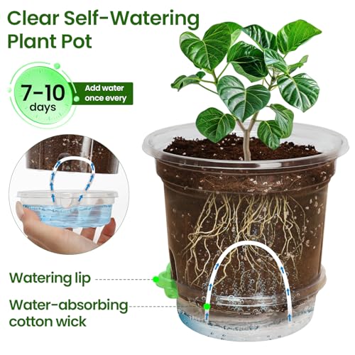 MIXC 18 Pack 6.5/5/4 Inch Self Watering Pots for Indoor Plants-Clear - size: 6.5/5/4 Inch (18 Pack)