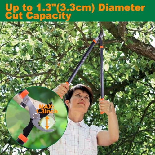 Bypass Loppers for Tree Trimming