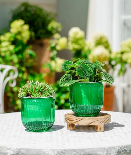 Melphoe Self Watering Pots for Indoor Plants Planter, 4.3 Inch 2 Pack Planters Self Watering Plant Pots for Flower, Houseplants, Succulent, African Violets and Cactus with Drainage - color: Emerald, size: 4.3''
