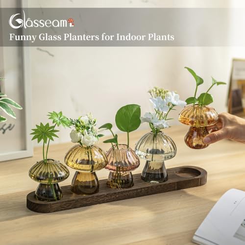Glasseam 5 Pcs Mushroom Propagation Station: Glass Terrarium Jar for Plants - color: Fall-colored, size: 5Pcs