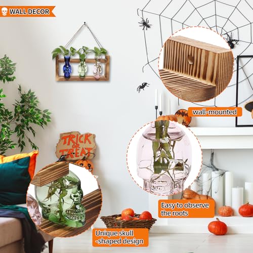Plant Terrarium Propagation Stations Skull Planter Vase Skulls Decor - color: Color-01