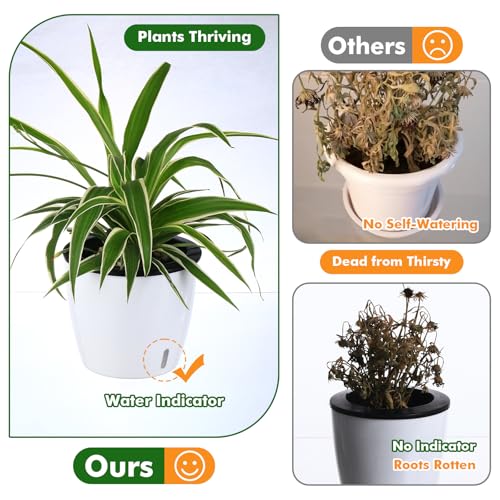 Planterhoma 5 Inch Self Watering Pots for Indoor Plants, 6 Packs African Violet Pots with Indicator, Black Wick Pot with Drainage Holes, Self Watering Planters for Orchid, Devil's Ivy, White - color: Glossy White, size: 5 Inch/6 Pack