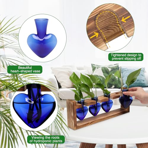 Plant Propagation Stations Heart Plant Terrarium Kit - color: Blue