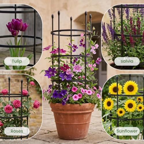3-Plant Support, 19.6 inches in Diameter × 39 inches high; Plant Support for Peonies; Stackable Metal core Poles with PVC Coating; Garden Support Frames for Plants Such as Tomatoes and Peonies